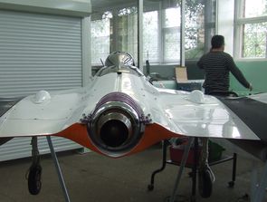 UAV БПЛА INDELA-Стрела