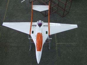 UAV БПЛА INDELA-Беркут